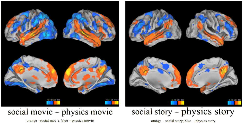 phd philosophy neuroscience