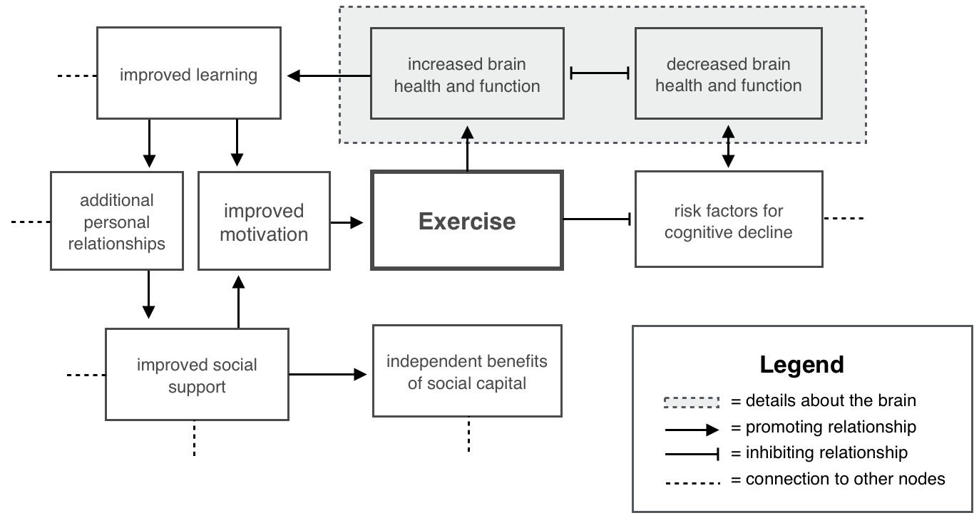 Figure 1. Positive Causal Well-being Network. Exercise promotes outcomes in the brain that promote other positive outcomes outside the brain. Similarly, exercise reduces negatives outcomes that would reduce certain positive outcomes. This is adapted from causal network models found in Cotman, Berchtold, and Christie 2007.