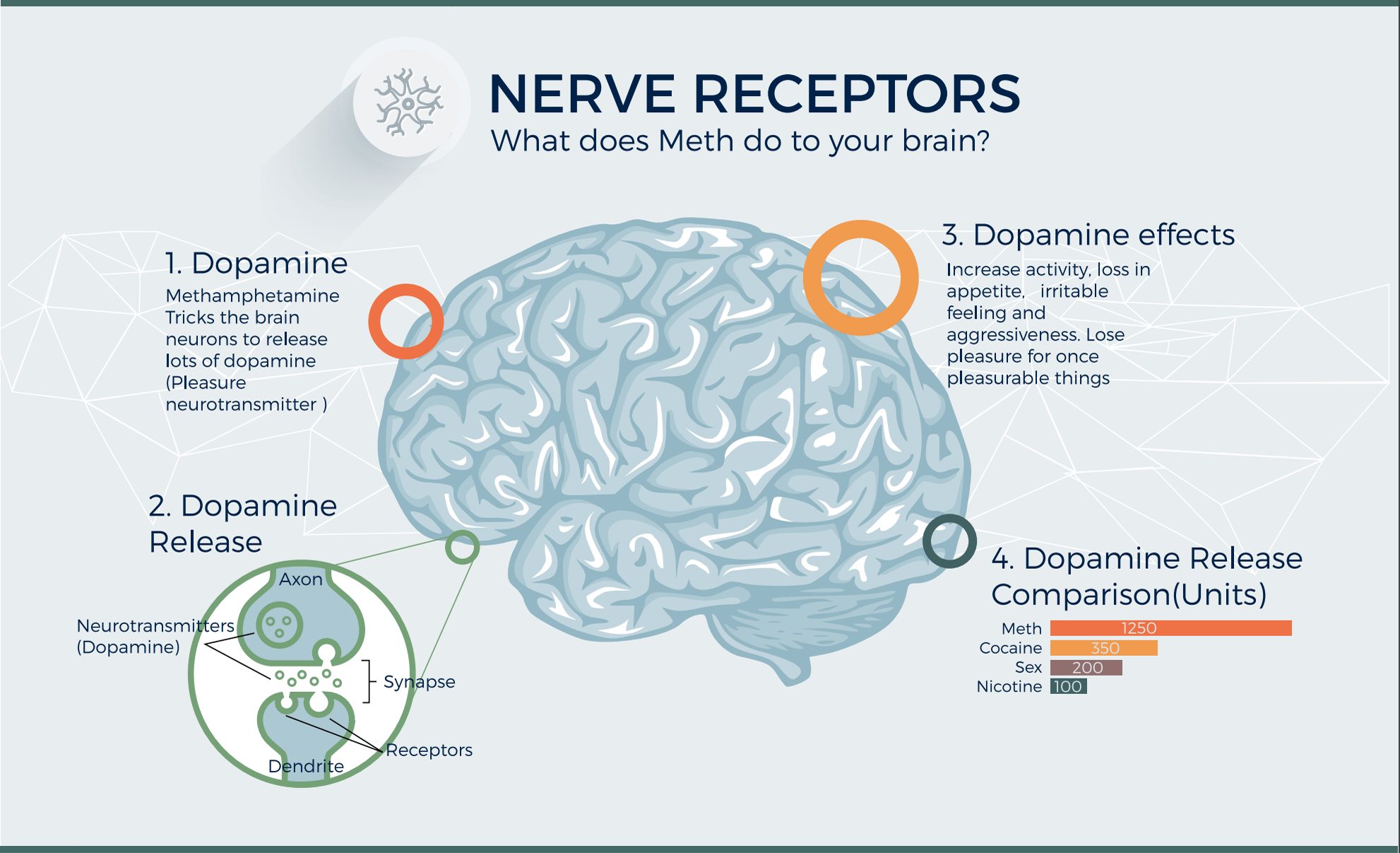 crystal-meth-your-brain-an-infographic-nick-byrd-ph-d